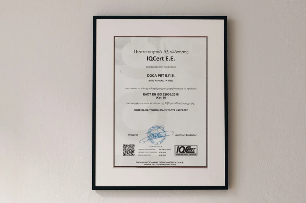 certificate-image